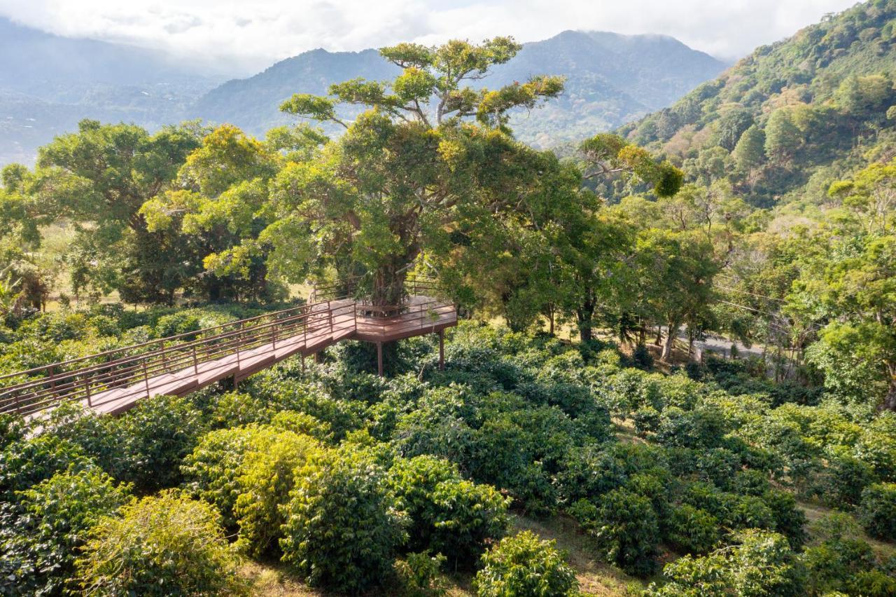 Los Establos Boutique Resort 보케테 외부 사진